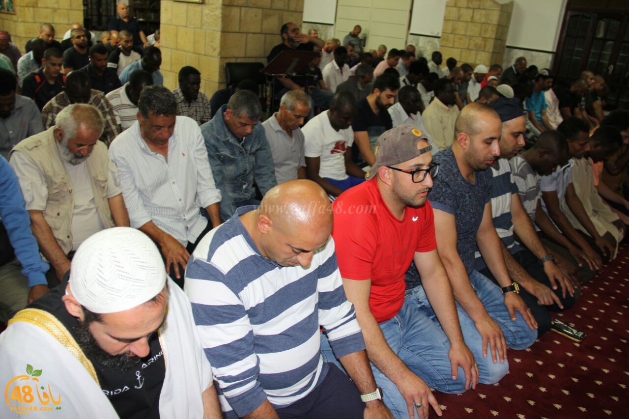 trawe7 salahsaj (22).jpg